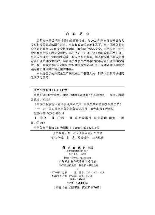公共安全领域中事故灾难综合治理问题研究/彭苏萍 商品图2