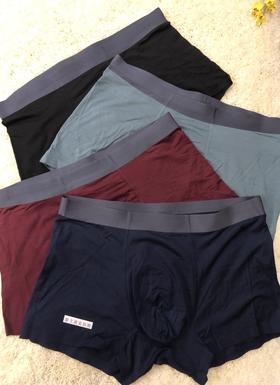 HZL6111  男款内裤