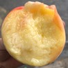【珍珠蜜桃】甜美滋味就在这刻绽放~ 商品缩略图2