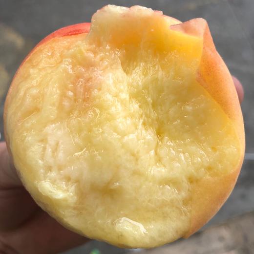 【珍珠蜜桃】甜美滋味就在这刻绽放~ 商品图2