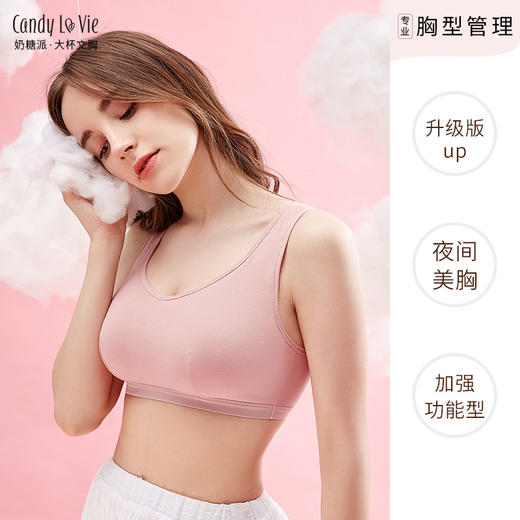 筑梦师(D006) 商品图1