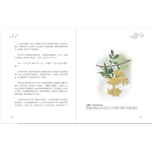 《笔落草木生》 商品图7