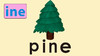 pine 商品缩略图0