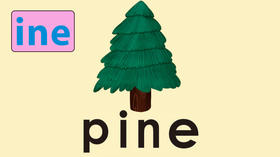 pine