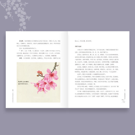 《撷芳 植物学家手绘观花笔记》 商品图4