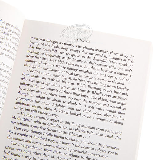 【中商原版】红与黑 英文原版 The Red and the Black 司汤达 商品图3