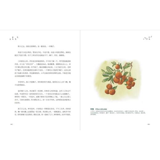 《笔落草木生》 商品图5