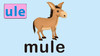 mule 商品缩略图0