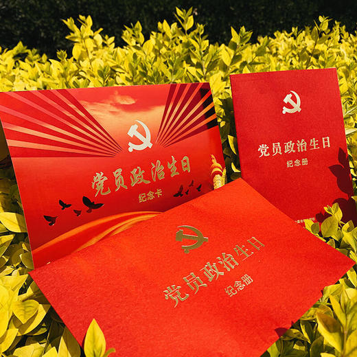 党员政治生日纪念卡 商品图1