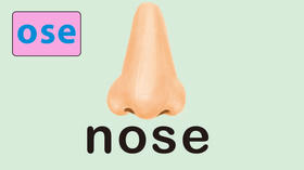 nose