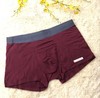HZL6111  男款内裤 商品缩略图4