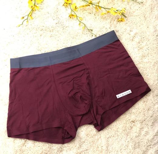 HZL6111  男款内裤 商品图4