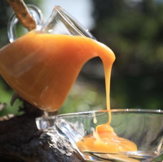 【土蜂蜜】纯天然成熟顶级蜜 商品图1