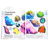 【中商原版】岩石与宝石百科 英文原版 DK-The Rock and Gem Book : ...And Other Treasures of the Natural World Dan Gre 商品缩略图5