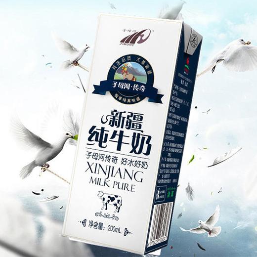 【新疆子母河纯牛奶】200ml*20盒/箱，来自北纬45度黄金奶源带，新疆天山草原纯净牧场 商品图1