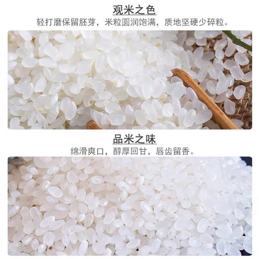 常金 好吃得软粳米10kg 商品图2