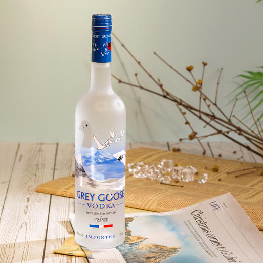 法国灰雁伏特加750ml 商品图0