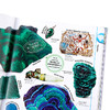【中商原版】岩石与宝石百科 英文原版 DK-The Rock and Gem Book : ...And Other Treasures of the Natural World Dan Gre 商品缩略图6