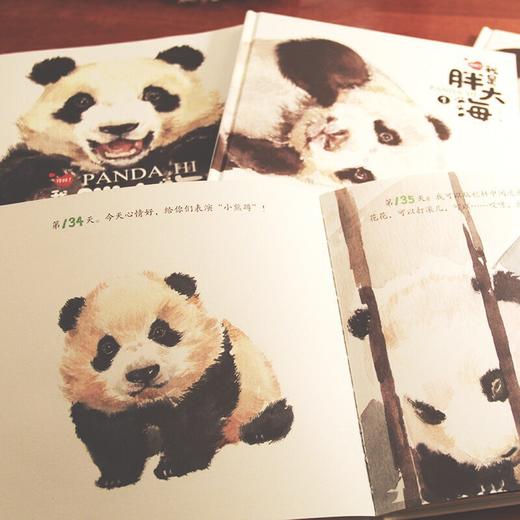 你好!我是胖大海(1-3) 商品图1