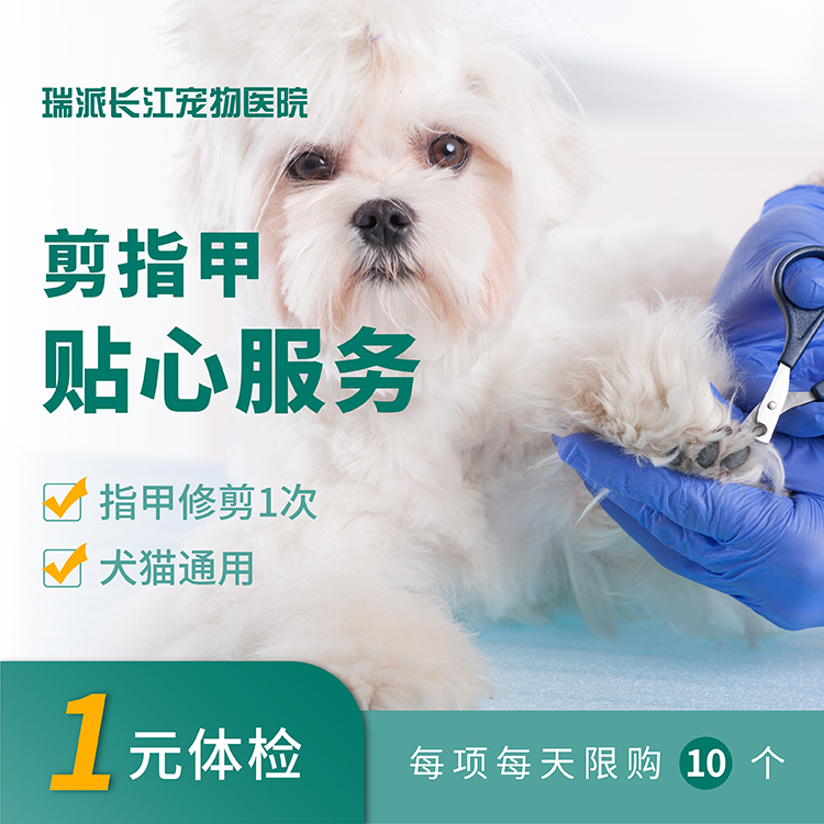 【贴心服务】到店服务剪指甲服务 犬猫通用