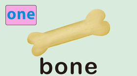 bone