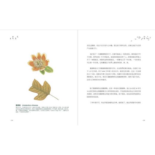 《笔落草木生》 商品图2