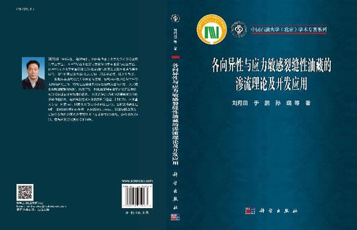 各向异性与应力敏感裂缝性油藏的渗流理论及开发应用 商品图3