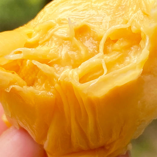 泰国巴掌榴莲 | 干干整整的,金黄漂亮,味太足了,细腻香滑甜,绵糯的