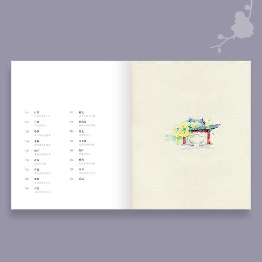 《撷芳 植物学家手绘观花笔记》 商品图2