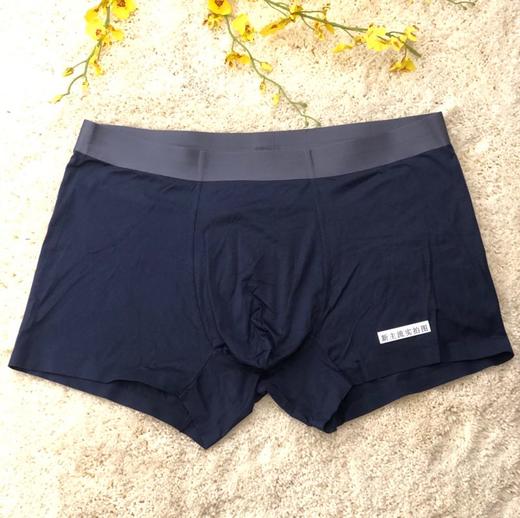 HZL6111  男款内裤 商品图1