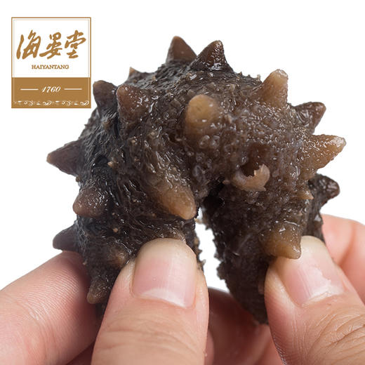 海晏堂大连即食海参辽参刺参简装500g（非整只海参，介意勿拍） 商品图3