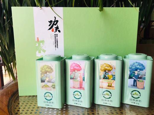 圣青春茶 功夫茶礼盒 日照绿茶 2020年新茶 250g/提 商品图1