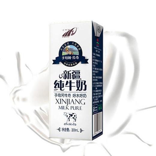【新疆子母河纯牛奶】200ml*20盒/箱，来自北纬45度黄金奶源带，新疆天山草原纯净牧场 商品图2