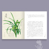 《撷芳 植物学家手绘观花笔记》 商品缩略图3