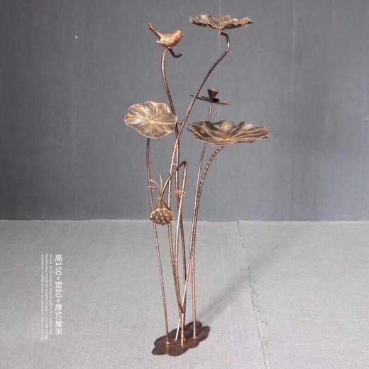 出水芙蓉【运费自理】 商品图0