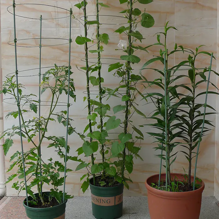 铁环花支柱用于铁线莲 欧月 藤本植物等盆栽固藤蔓爬藤架支架1cm高