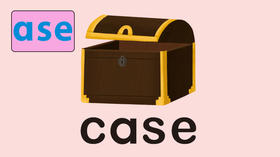 case