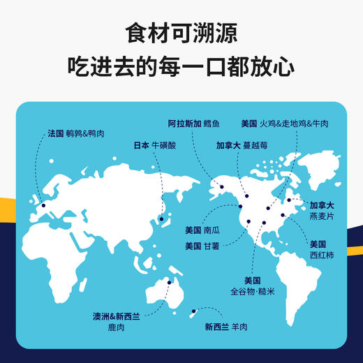 Solid gold素力高金装系列鸡肉味/羊肉配方猫粮12磅5.4kg/幼猫6磅2.72kg 商品图7