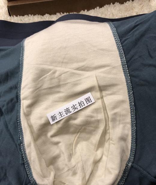 HZL6111  男款内裤 商品图2