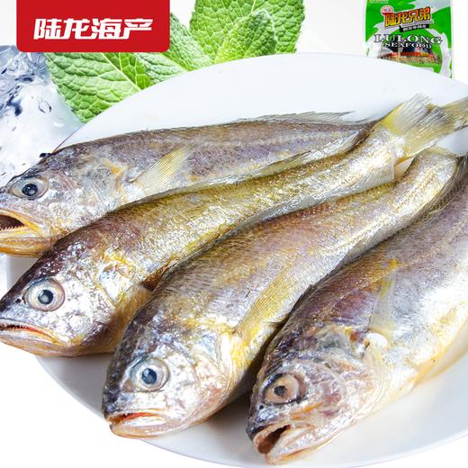 1997陆龙兄弟600g东海冷冻小黄鱼(10-12条) 商品图3