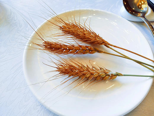 张锡纯如何用山药调理糖尿病 商品图0