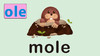 mole 商品缩略图0