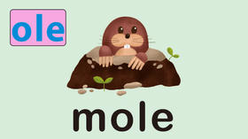 mole