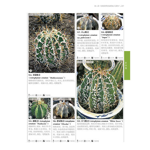 1200种多肉植物图鉴：珍藏版 商品图5