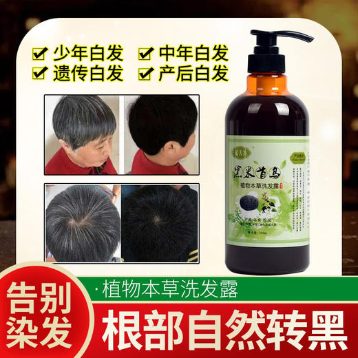 【黑米首乌草本洗发露】传承瑶族百年黑发配方，多种植物精华萃取，白发变黑发，固发防脱，7天生新发！去头屑、头痒，除螨控油！ 商品图1