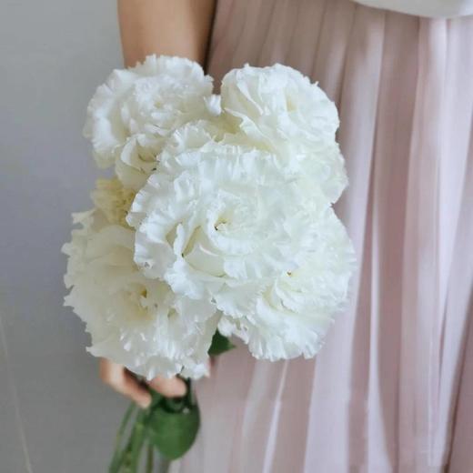 月卡/季卡/年卡【赠人玫瑰 手留余香】 简小姐精选花礼 月卡/季卡/年卡  顺丰包邮 商品图10