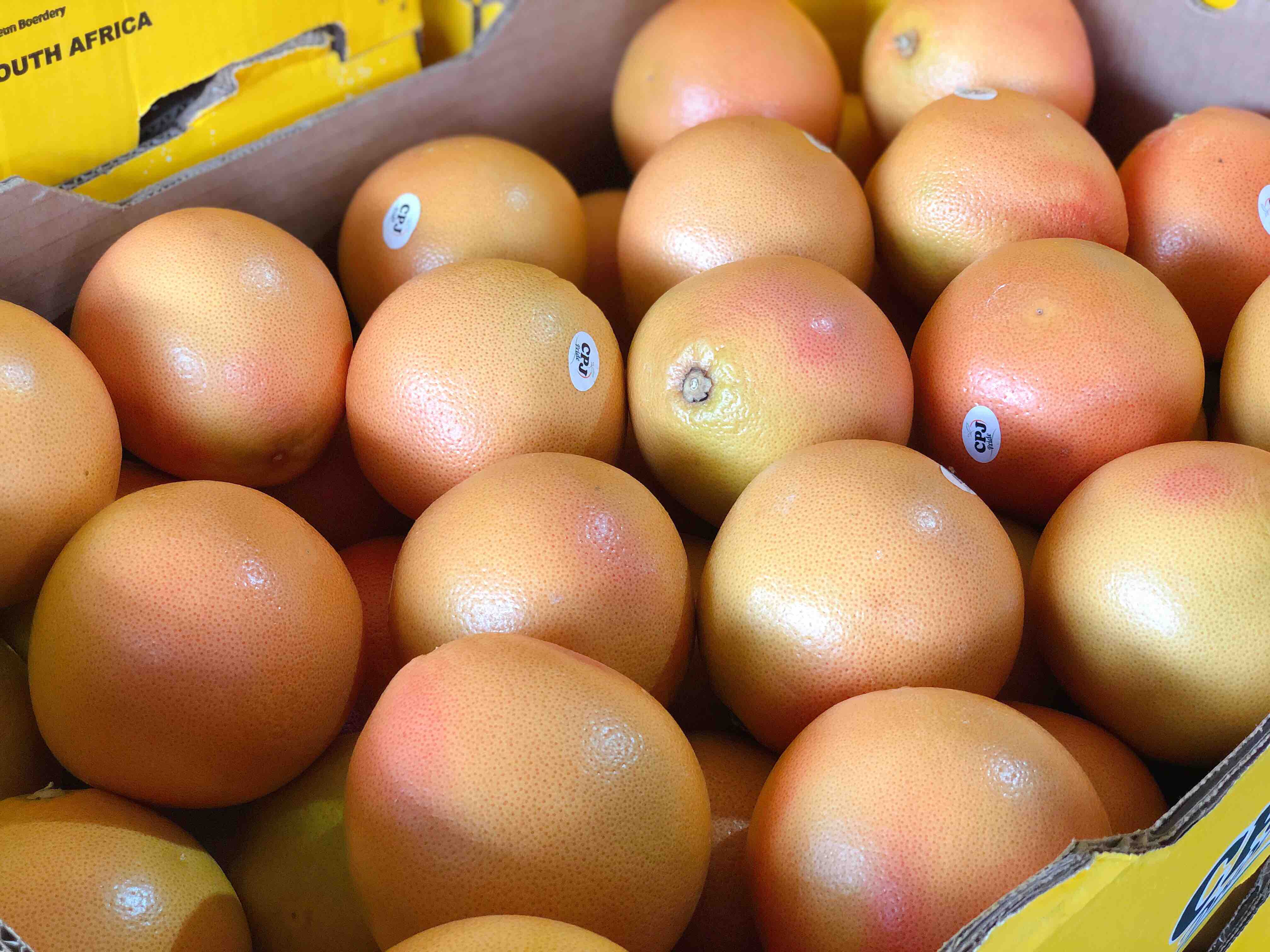 0卡水果南非红西柚甘甜微苦健康水果几乎0脂肪适合所有人群孕妇必备和