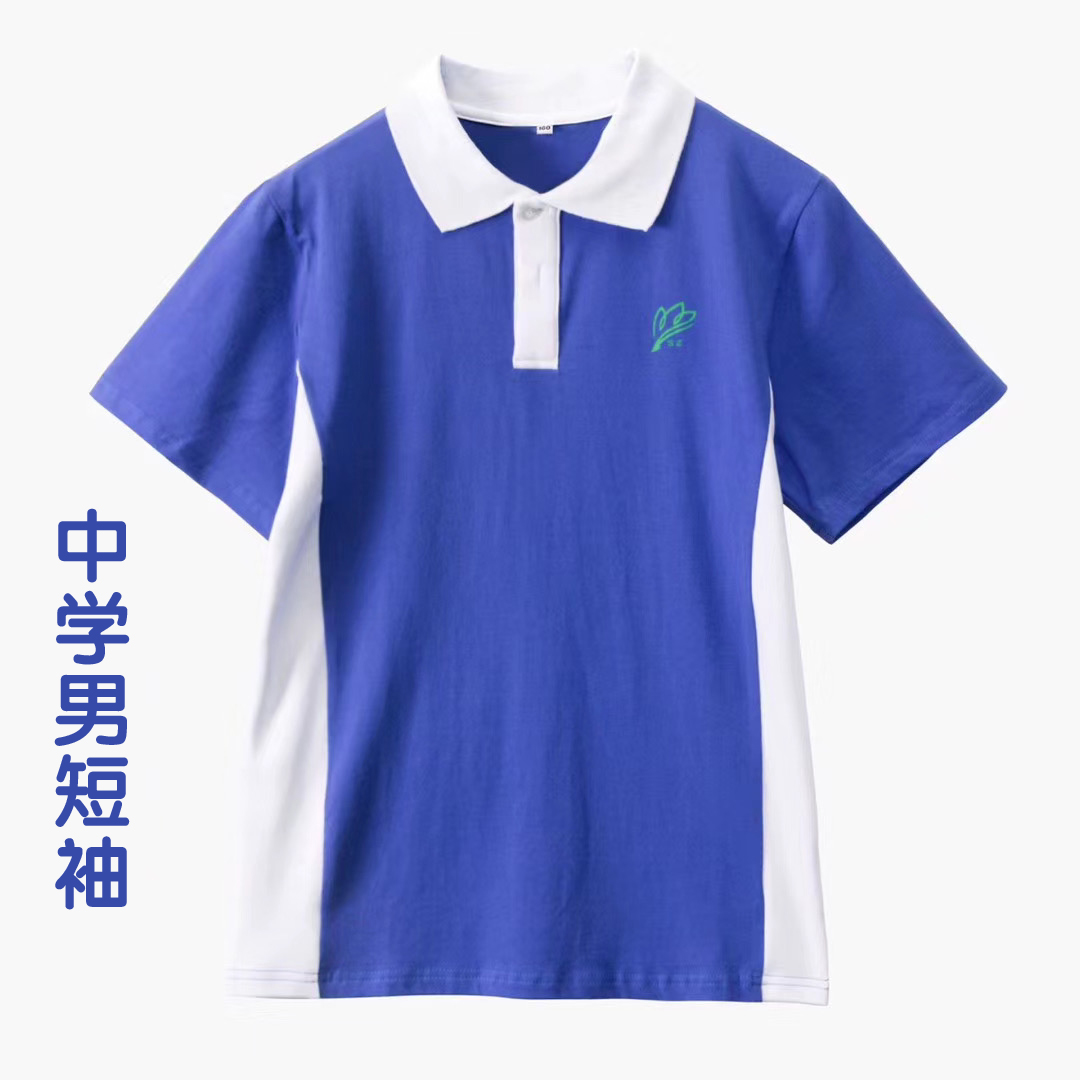 深圳校服 中学男生款夏季运动服短袖上衣（单件）