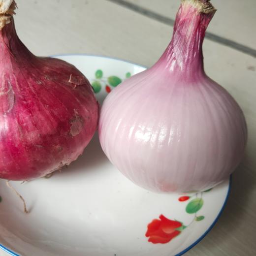 【助销山东紫皮洋葱​】 鲜嫩脆口 盼您相助 商品图2
