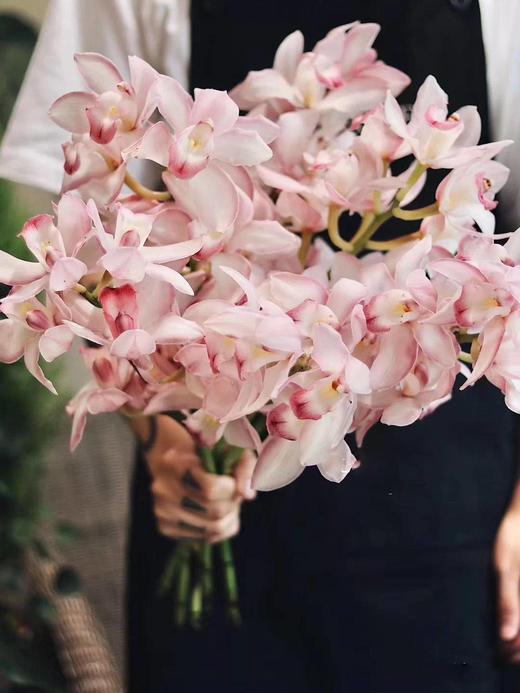 月卡/季卡/年卡【赠人玫瑰 手留余香】 简小姐精选花礼 月卡/季卡/年卡  顺丰包邮 商品图1